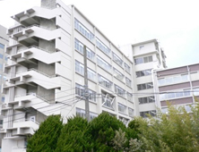 新潟大学